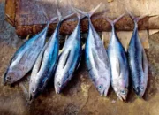 8 Jenis Ikan Tinggi Protein juga Rendah Lemak untuk Diet