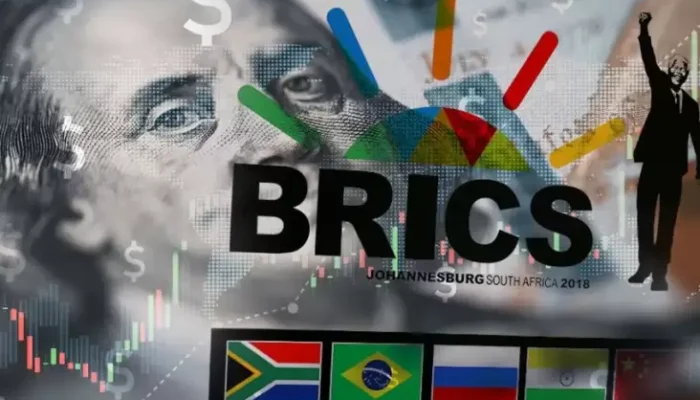 Afrika Selatan Pastikan Mata Uang Bersama BRICS Terus Dikaji