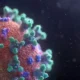 Studi: Infeksi penyebaran virus Corona Terlama Berlangsung 613 Hari, Mencetak Lebih dari 50 Mutasi