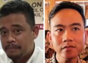 Bobby Gabung Gerindra, Gibran Berlabuh ke Mana?