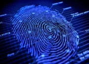 Cara Tingkatkan Akurasi Fingerprint pada Smartphone agar Aman pada waktu Digunakan