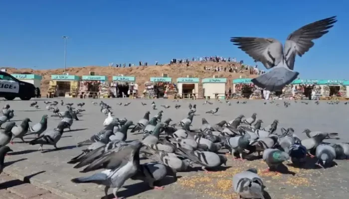 Menjejakkan Kaki di Jabal Uhud, Memaknai Sejarah Perang Uhud