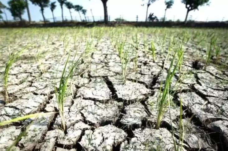 Mentan Amran: Fenomena Cuaca Aneh Mulai Ganggu Lingkup Pertanian