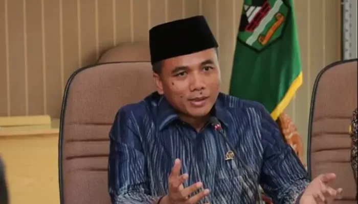 Permohonan PHPU Ditolak MK, Sekjen PPP: Ada Perbedaan Melihat Benda Gugatan