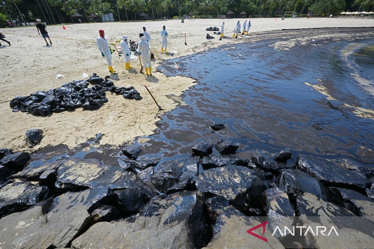 Singapura butuh tiga bulan bersihkan tumpahan minyak ke resor Sentosa