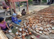 Disbun catat nilai kopra dalam STA Kendari naik jadi Rp10.000/kg