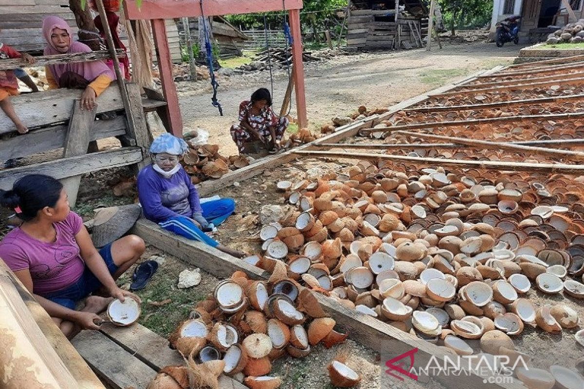 Disbun catat nilai kopra pada STA Kendari naik jadi Rp10.000/kg