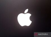 Apple tunda peluncuran ciri Kecerdasan Buatan dalam Uni Eropa akibat terhambat regulasi