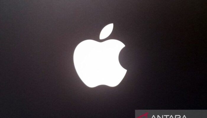 Apple tunda peluncuran ciri Kecerdasan Buatan dalam Uni Eropa akibat terhambat regulasi